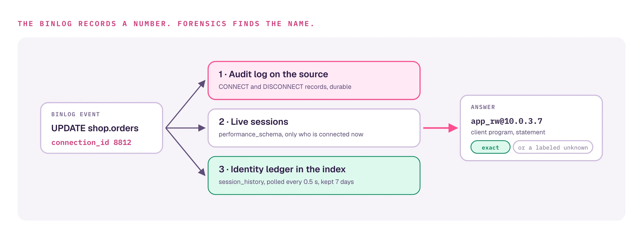 A binlog event records only connection_id 8812. Forensics looks it up in three evidence sources: the audit log on the source with durable CONNECT and DISCONNECT records, live sessions in performance_schema, and the identity ledger in the index polled every 0.5 seconds and kept 7 days. The answer is a name such as app_rw at 10.0.3.7 with a confidence label, or a labeled unknown.